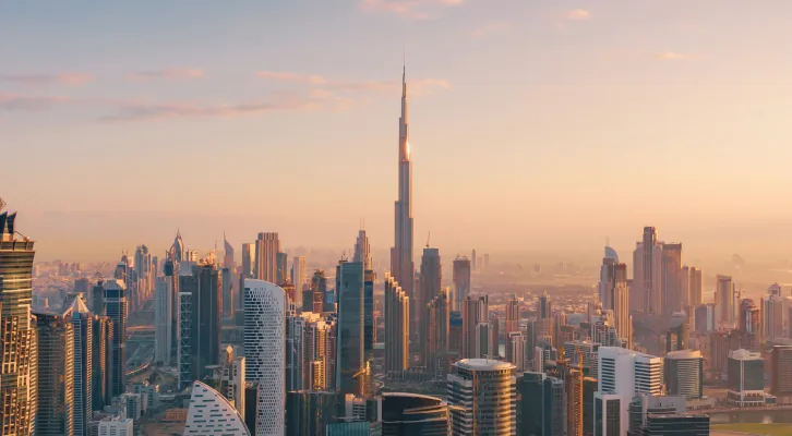 UAE business formation consultants
